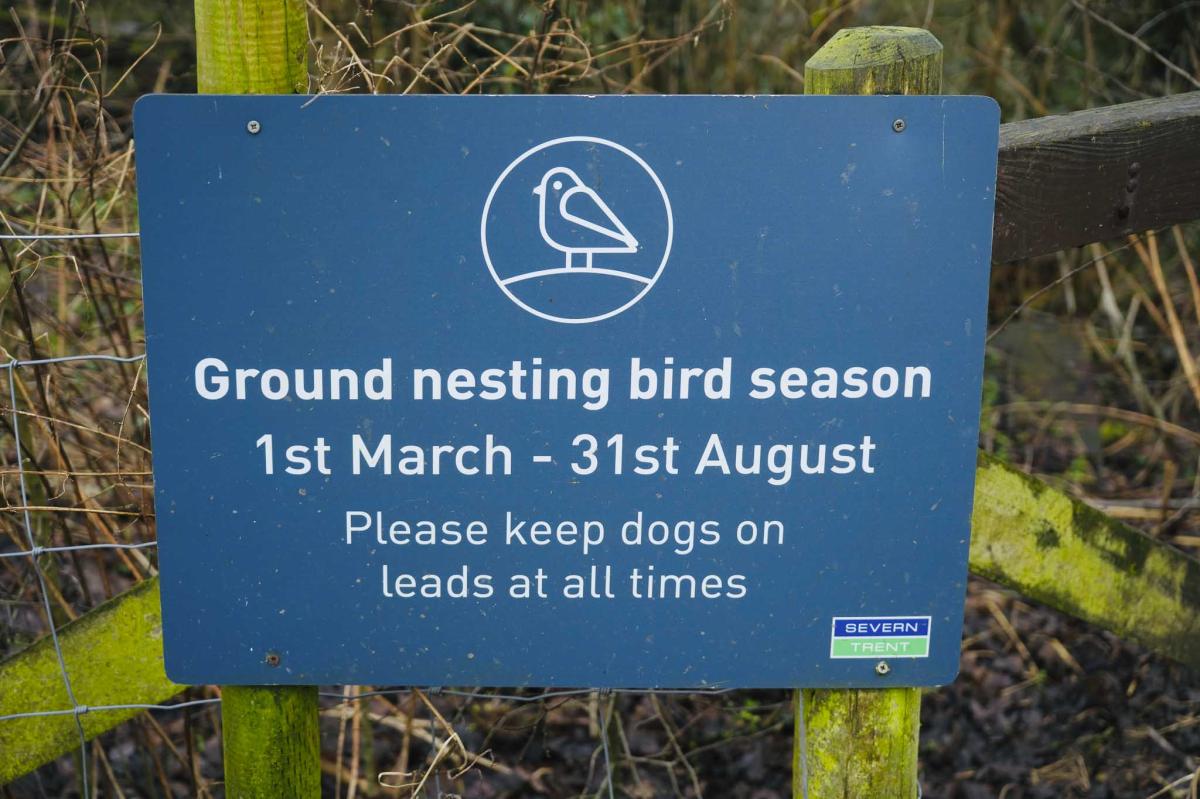 bird nesting sign