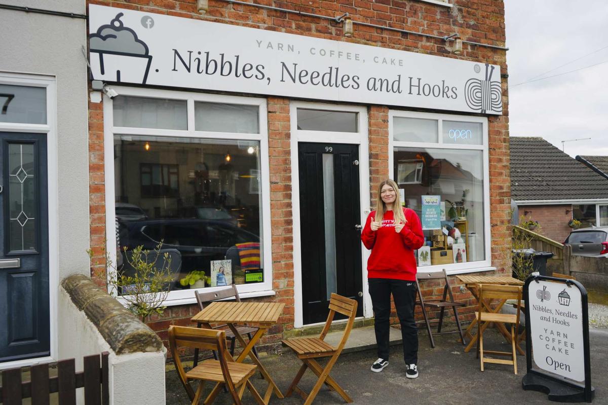 nibbles needs and hooks